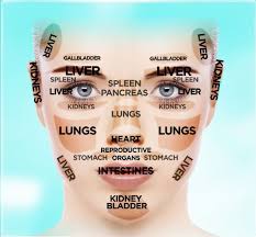 Facial Diagnosis: Decoding the Body Blueprint - Grasshopper Education